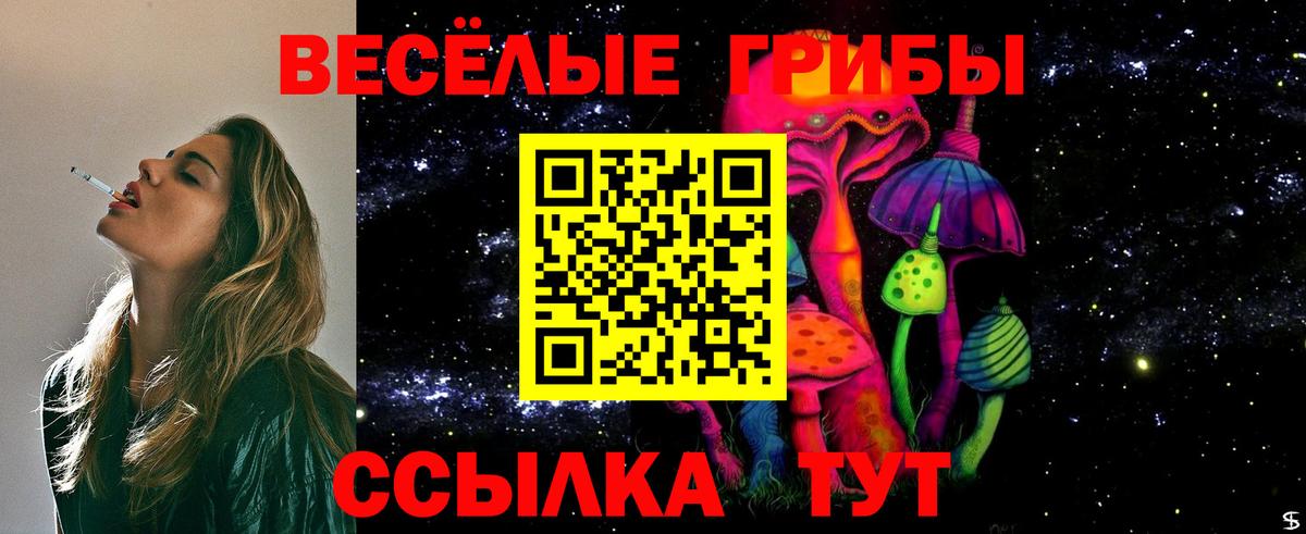 Галлюциногенные грибы GOLDEN TEACHER  Вход с VPN  Людиново  Галлюциногенные грибы Magic Shrooms 